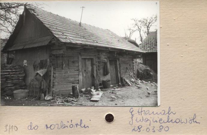 stajnia, skan 2