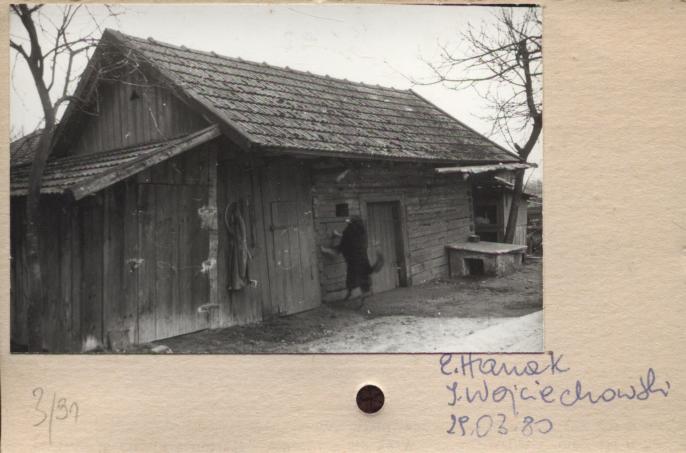stajnia, skan 2