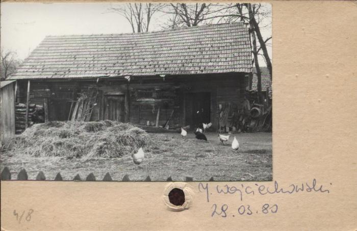 stajnia, skan 2