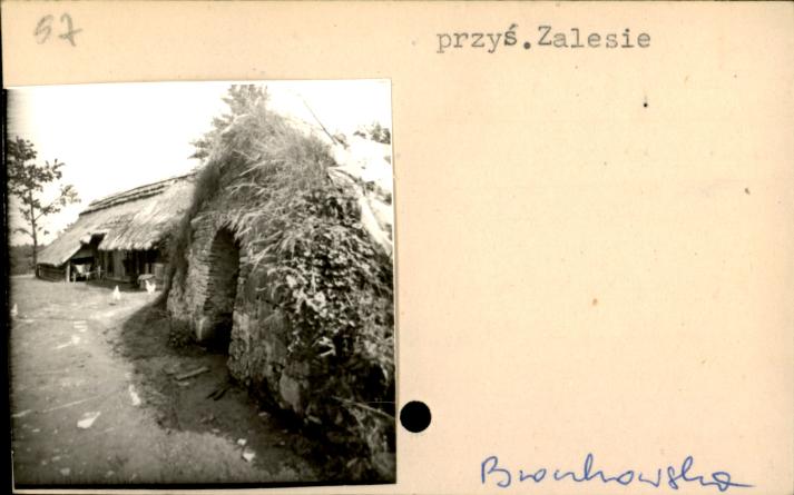 piwniczka II, skan 2