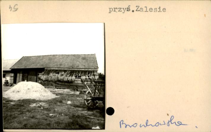 stodoła, skan 2
