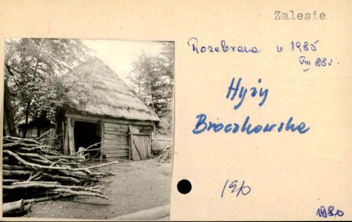 szopa, skan 2