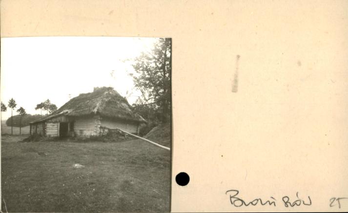 stajnia, skan 2