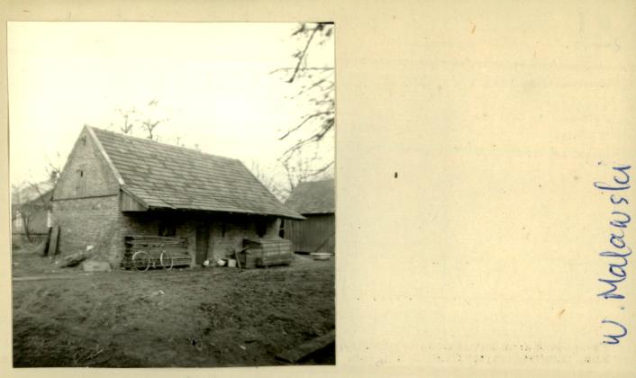 stajnia, skan 2