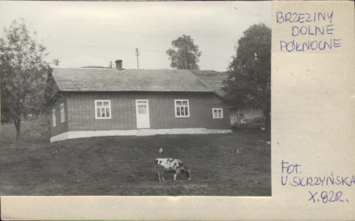 dom, skan 2