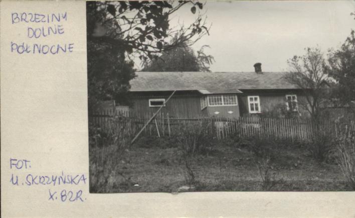 dom, skan 2