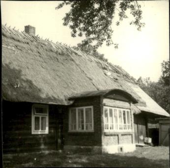 dom, skan 3