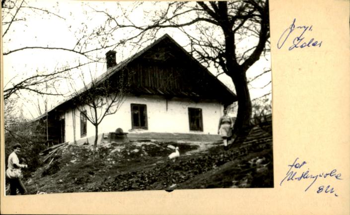 dom, skan 2