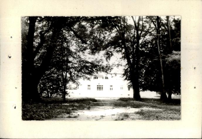 dwór, skan 3