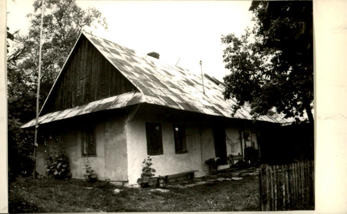 dom, skan 2
