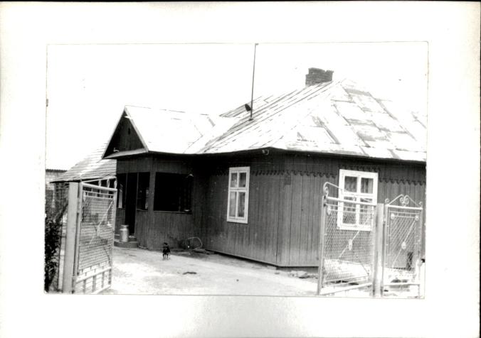 dom, skan 2