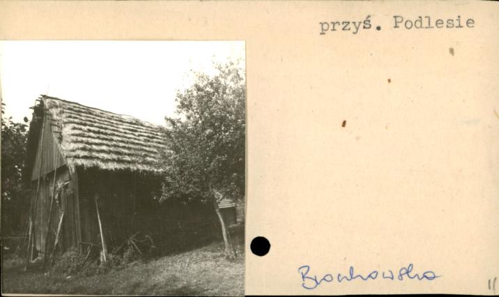 stodoła, skan 2