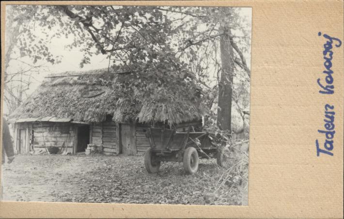 stajnia, skan 2