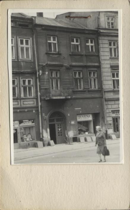 dom, skan 2