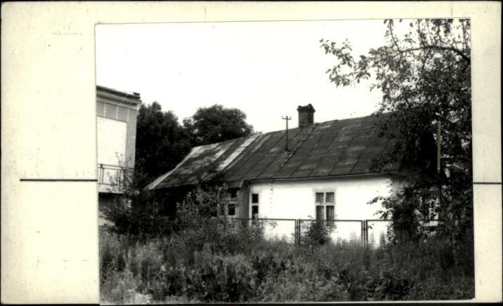 dom, skan 2