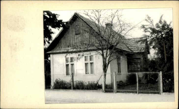 dom, skan 2