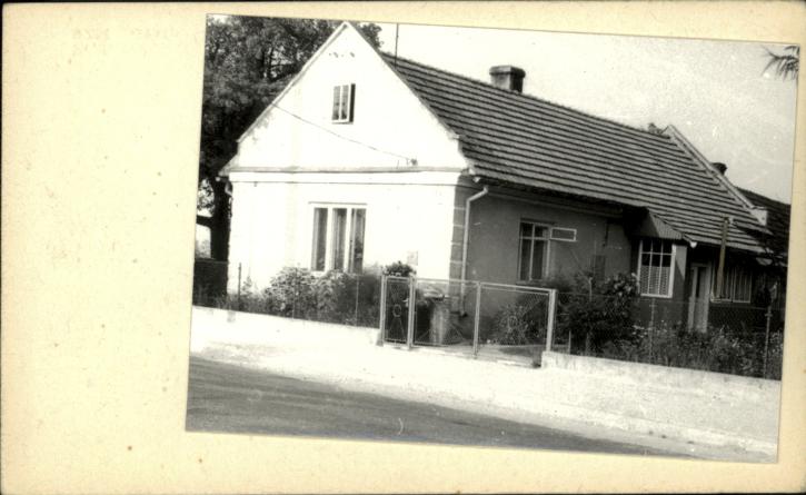 dom, skan 2