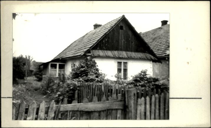 dom, skan 2