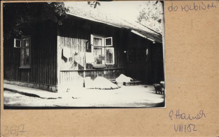 dom, skan 2