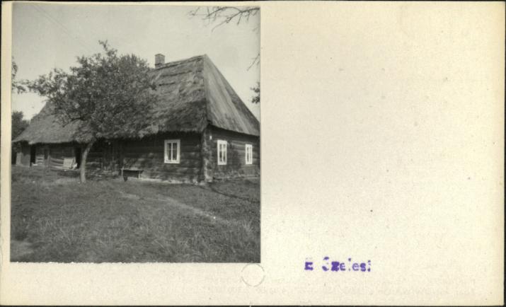 dom, skan 2