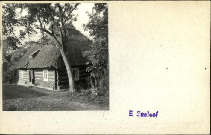 dom, skan 2