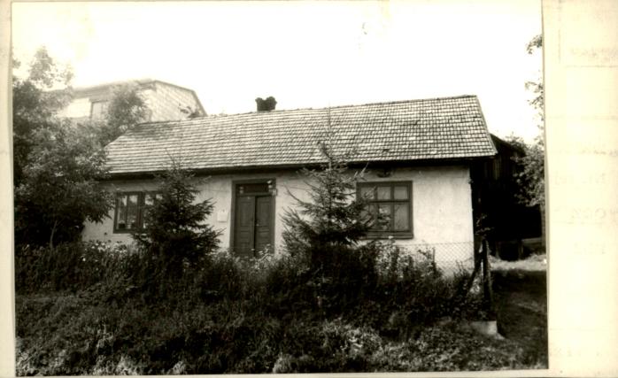 dom, skan 2