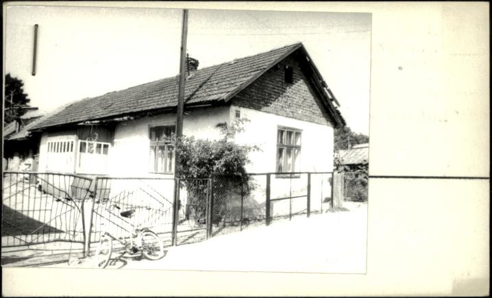 dom, skan 2