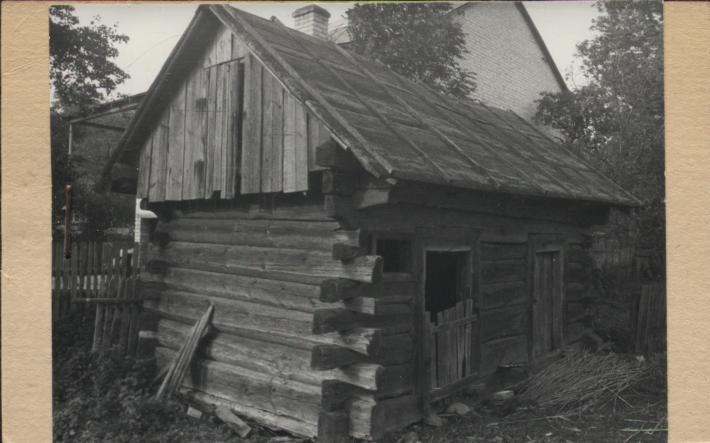 chlewy, skan 2
