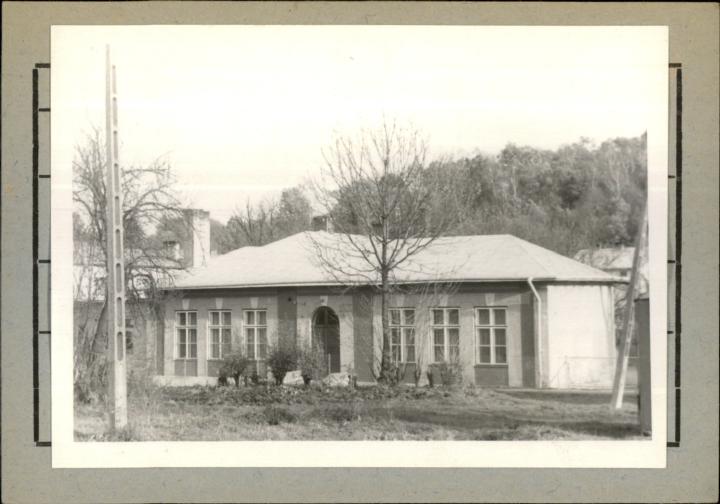 szkoła, skan 2