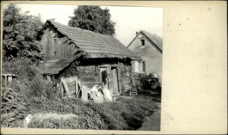 drewutnia, skan 2