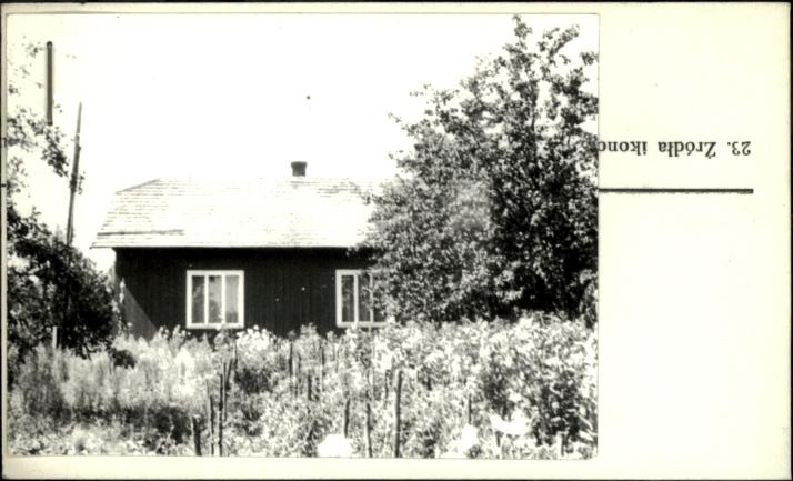 dom, skan 3