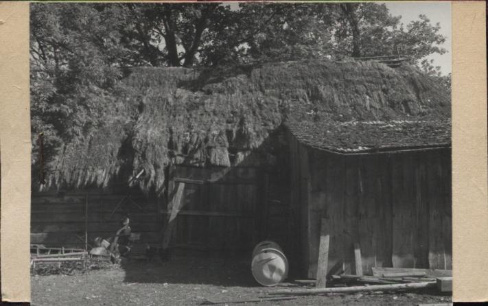 stodoła, skan 2