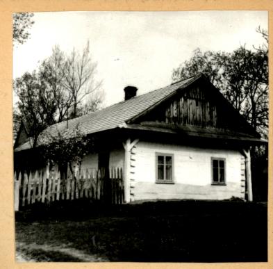 dom, skan 3