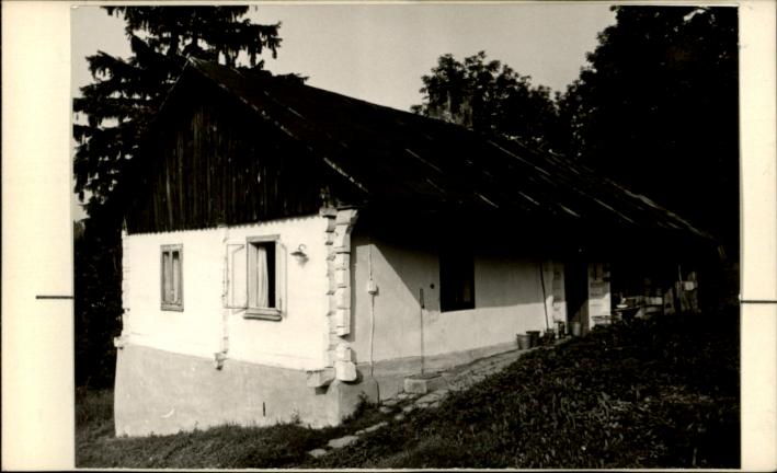 dom, skan 2
