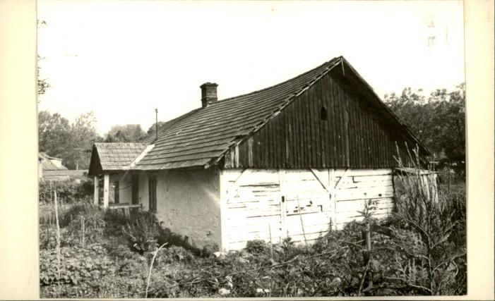 dom, skan 2