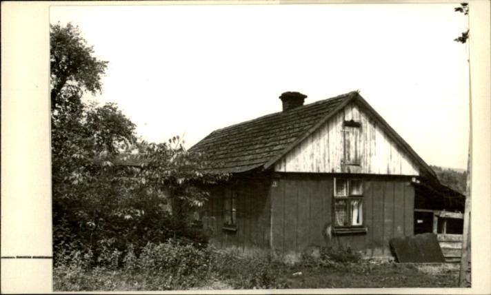 dom, skan 2