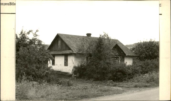 dom, skan 2