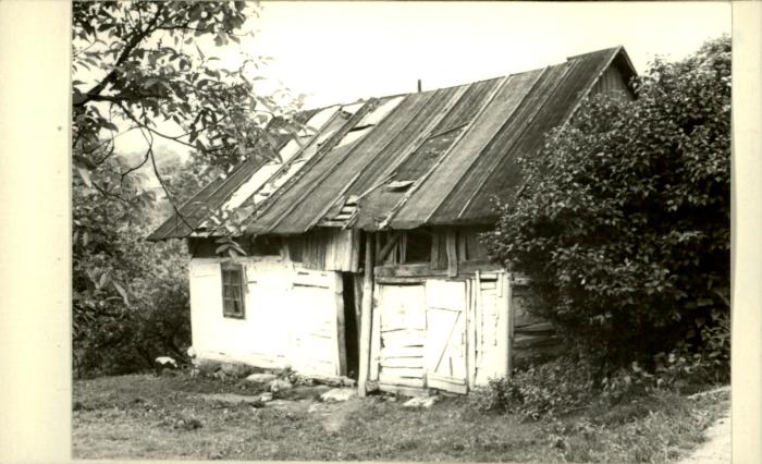 dom, skan 2
