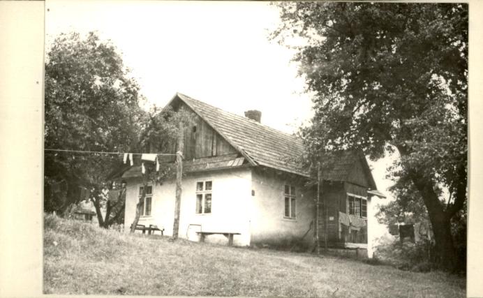 dom, skan 2
