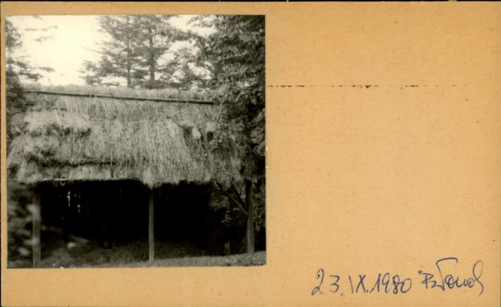 bróg w zagrodzie, skan 2