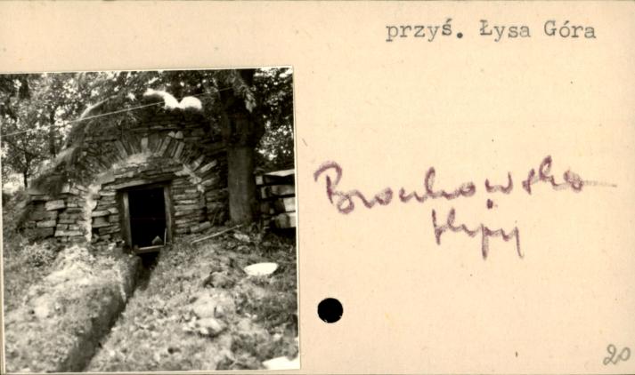 piwniczka, skan 2