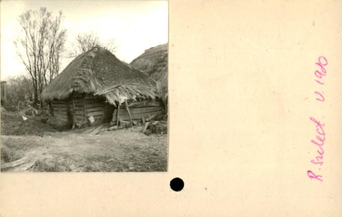 stajnia, skan 2