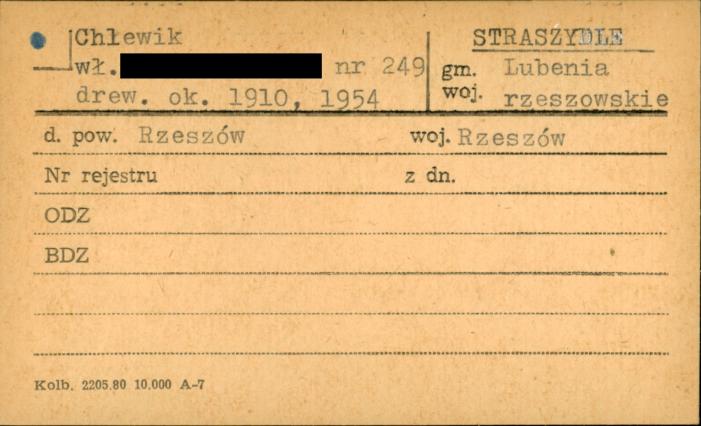 chlewik, skan 1