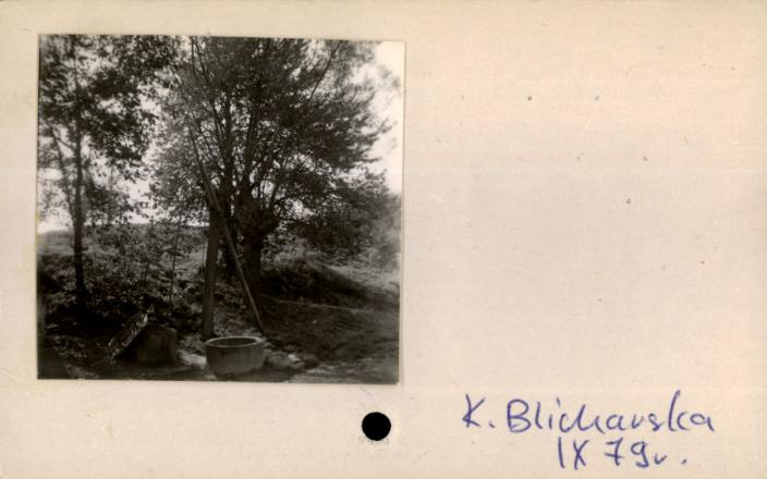 żuraw studzienny, skan 2