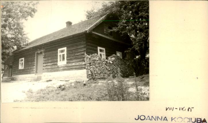dom, skan 2
