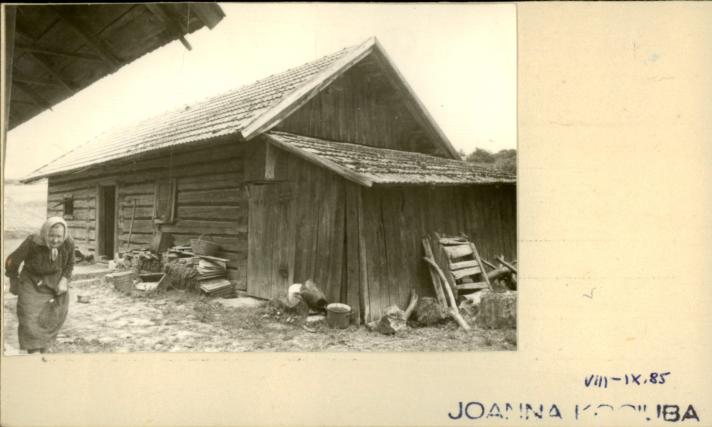 stajnia, skan 2