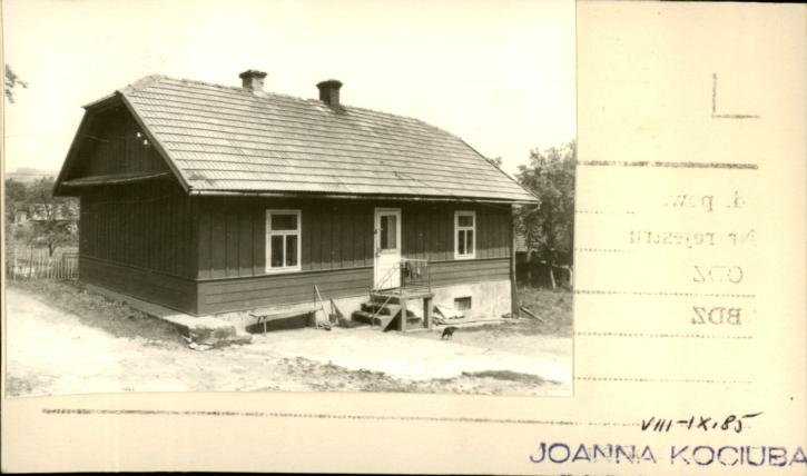 dom, skan 2