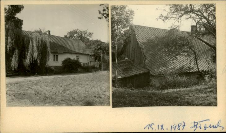 czworak, skan 2