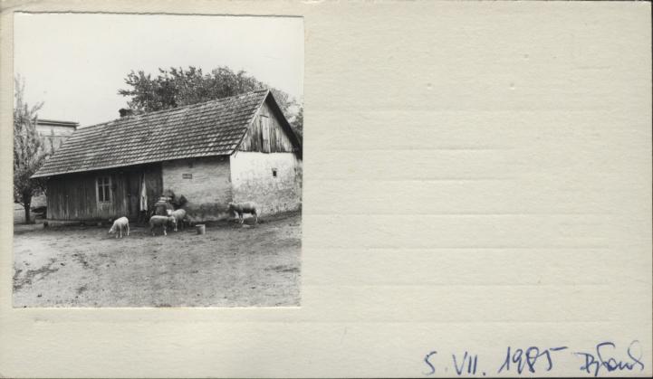 dom, skan 2