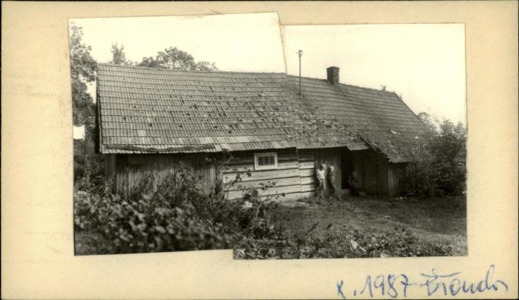 dom, skan 2